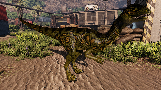 Anaconda Dilo