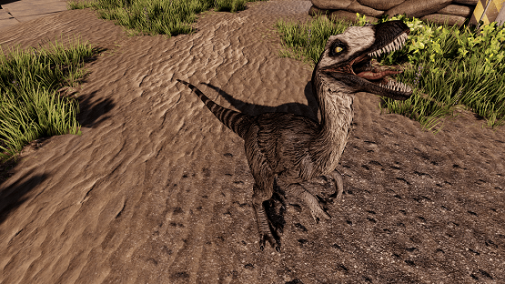 Ring-tailed Lemur Novaraptor