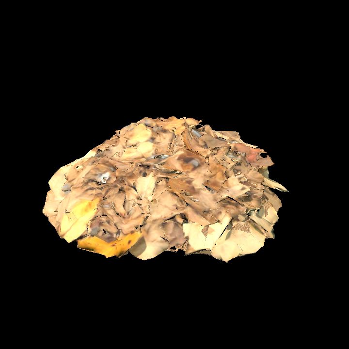 Leaf litter 3