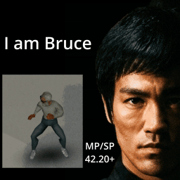 I Am Bruce Lee Now preview