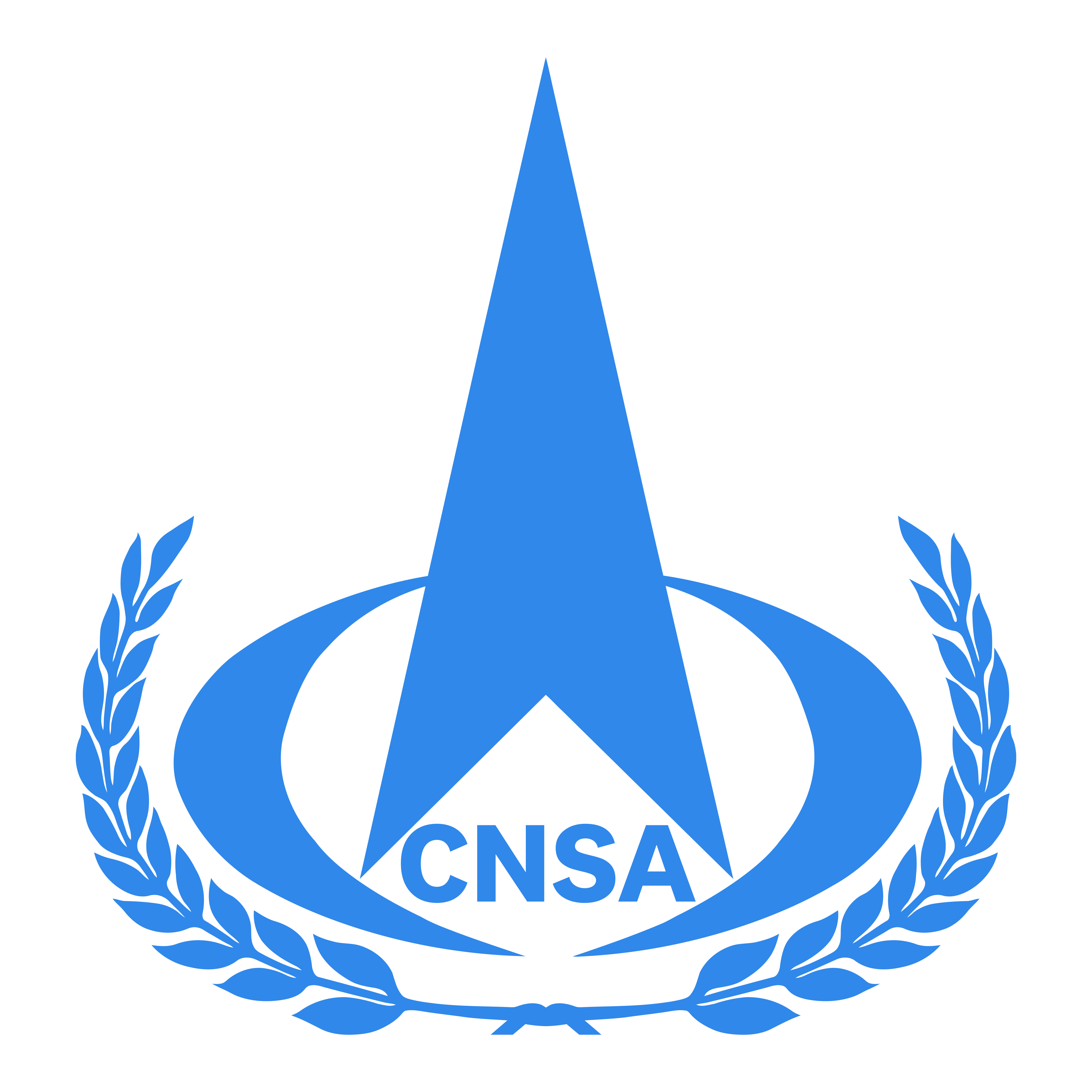 CNSA Logo