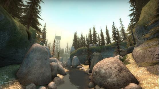 Forest