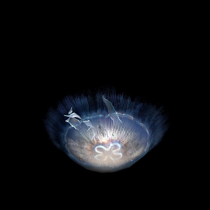 Jellyfish Moon 