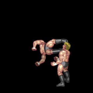 Spinning Dropkick B (Counter)
