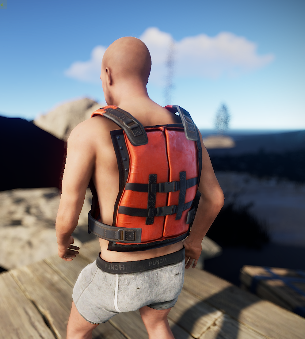 Kayak Vest