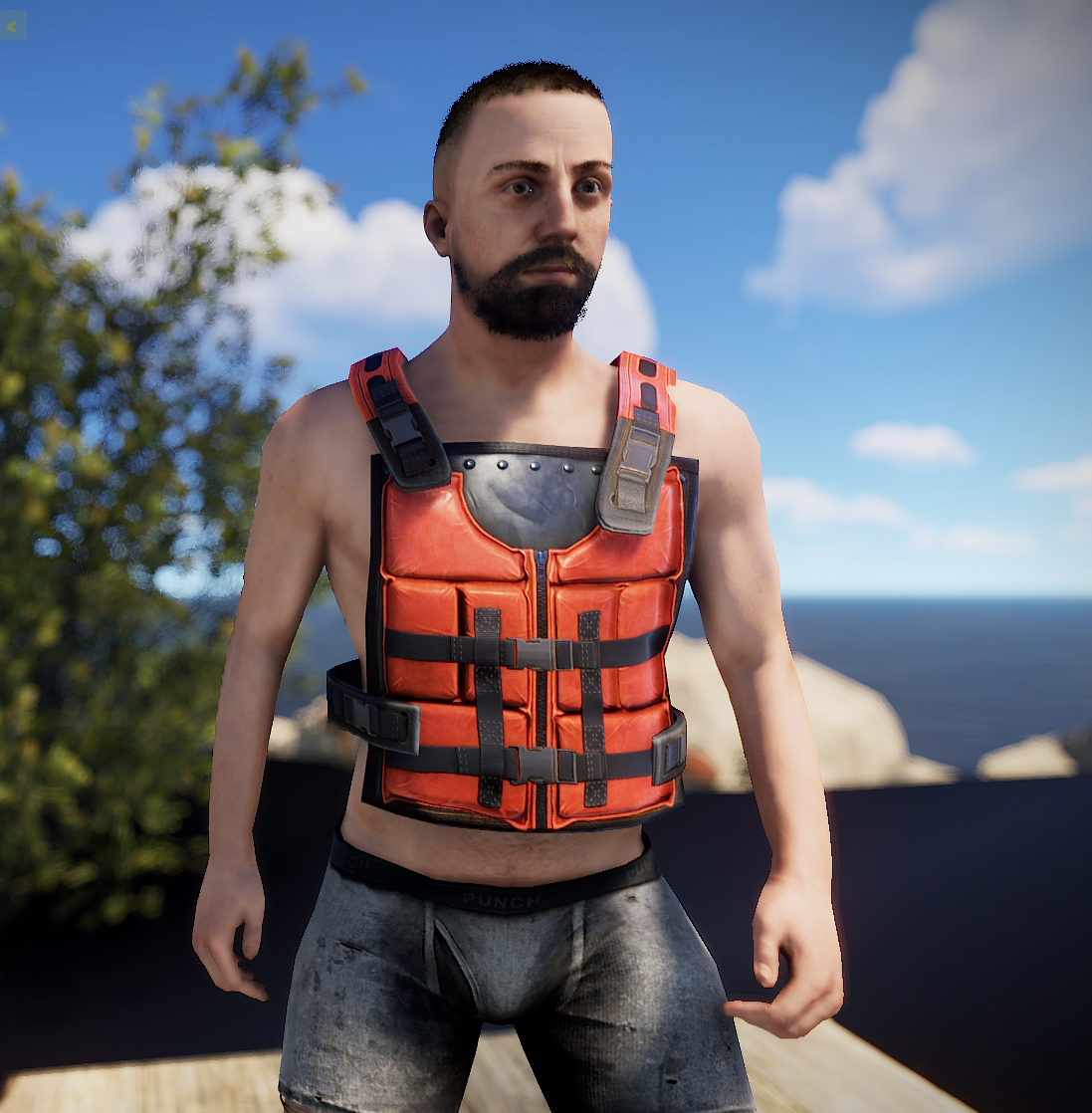 Kayak Vest