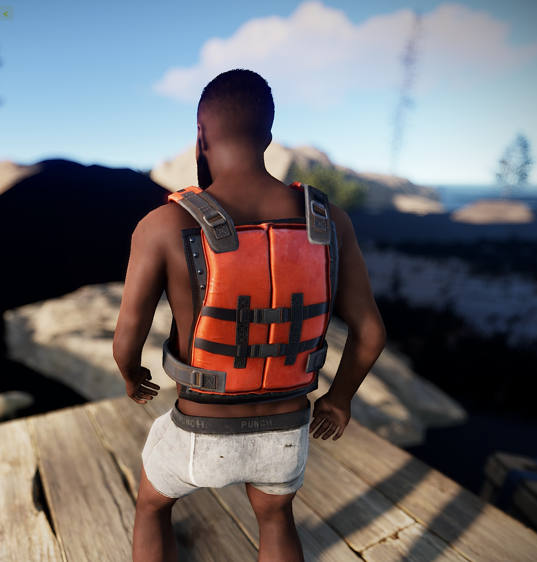 Kayak Vest