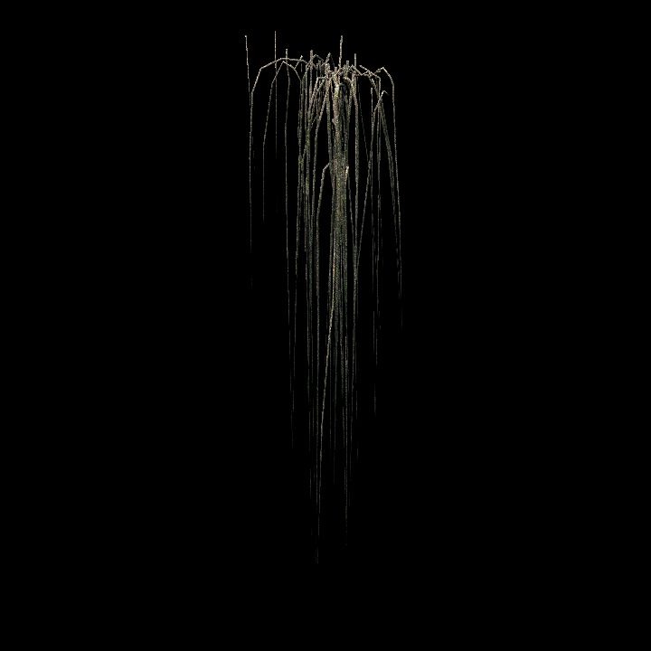 Root_Vines_02