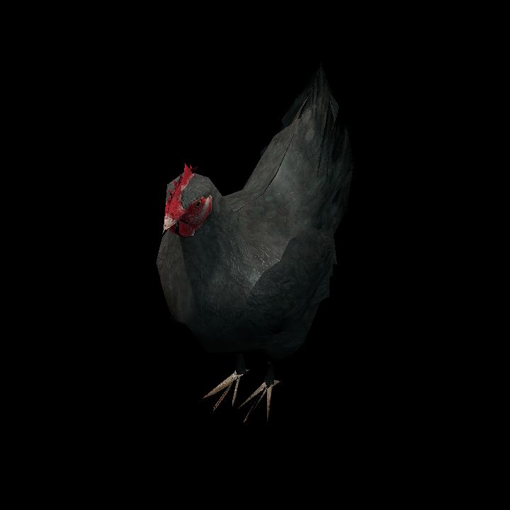 BlackHen