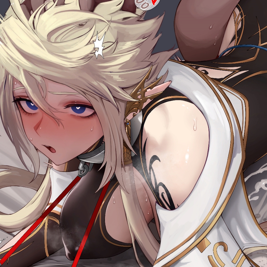 DNF 刺客 Neo Rogue NSFW X-RAY TYPE6 preview