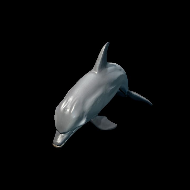 Dolphin Gray 