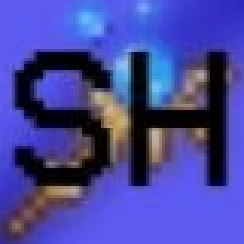 Summoner Helper – Terraria Mod