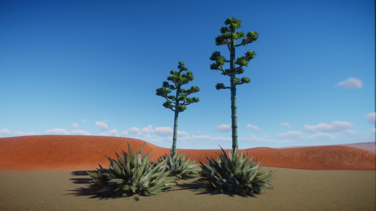 Blooming Century Plant Set
