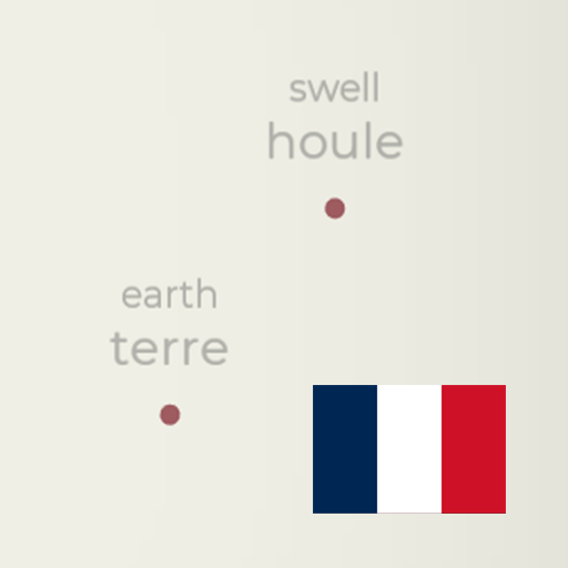 Let's Learn French!