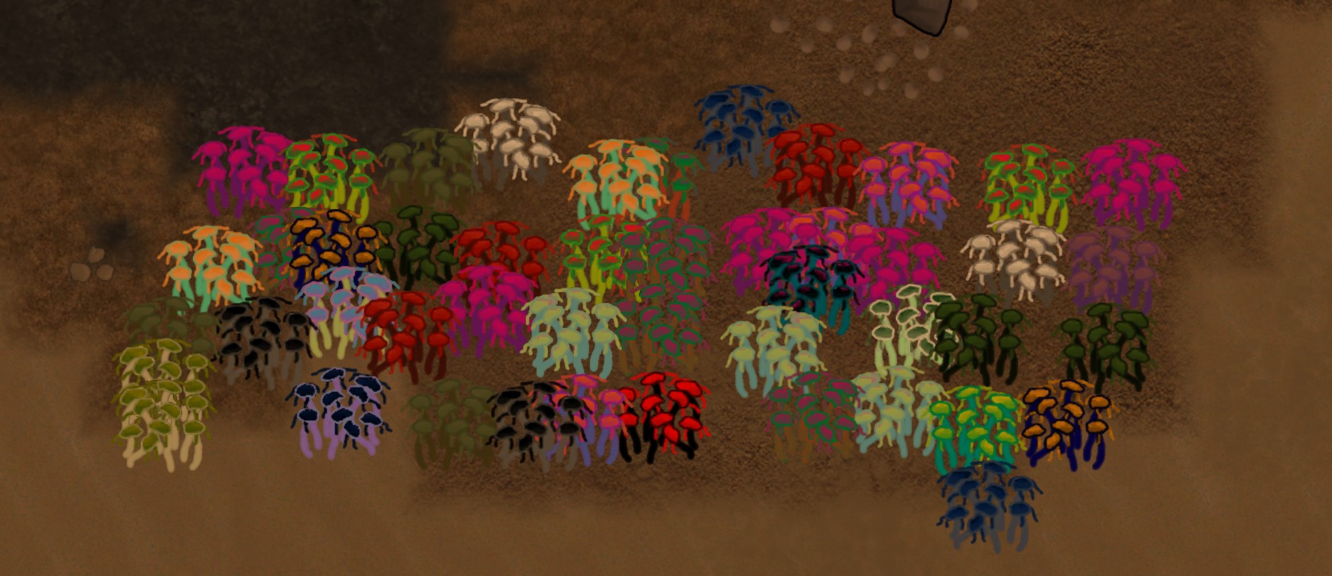 Rainbow Brambles, Shrubs, Moss, and Chokevine