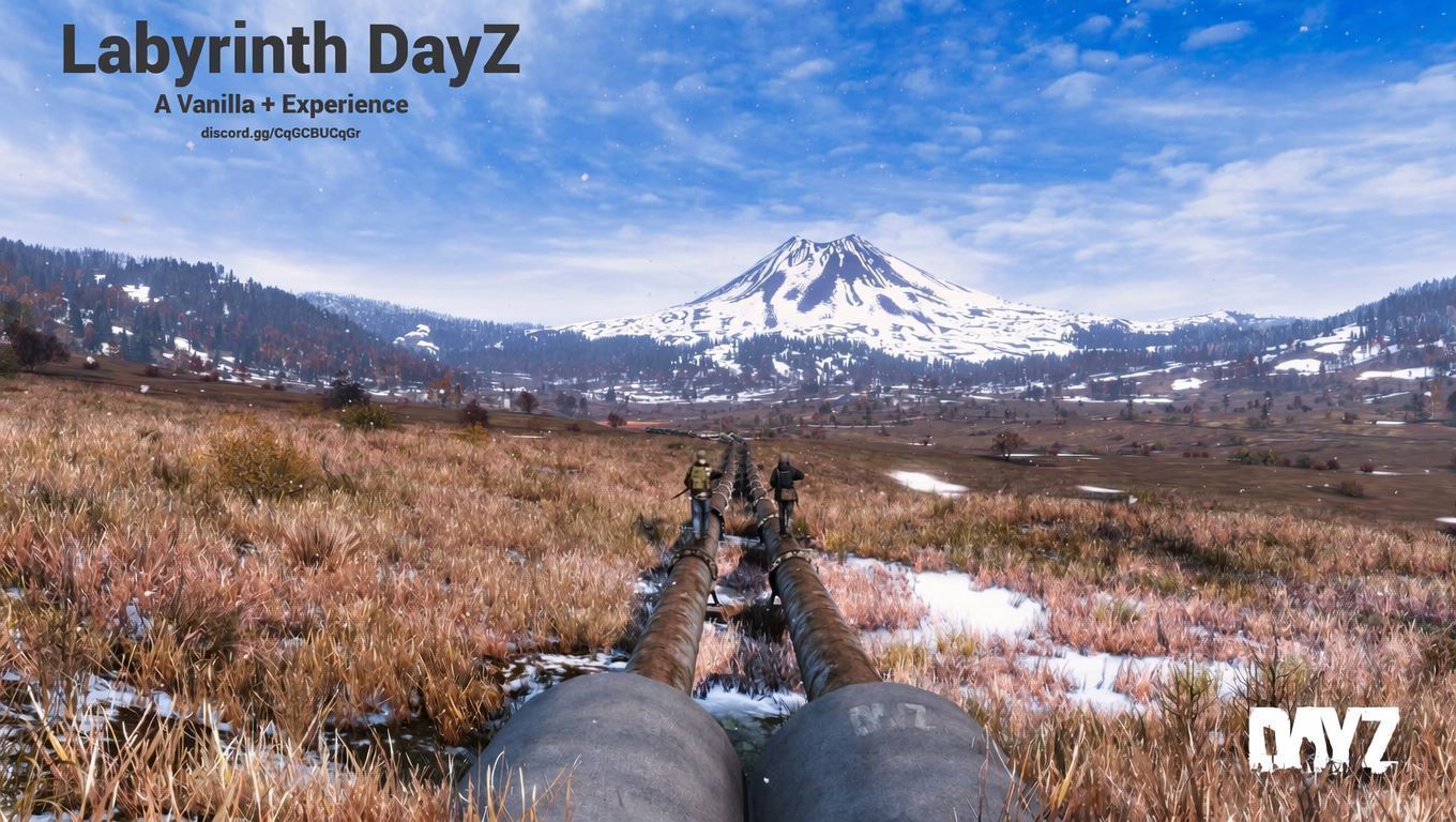 Labyrinth DayZ Core