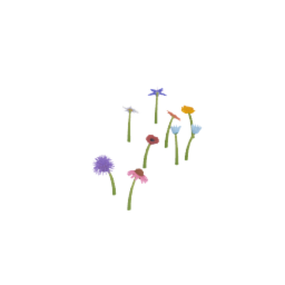Wildflower Patch🌼