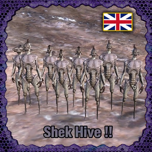 Shek Hive[En]