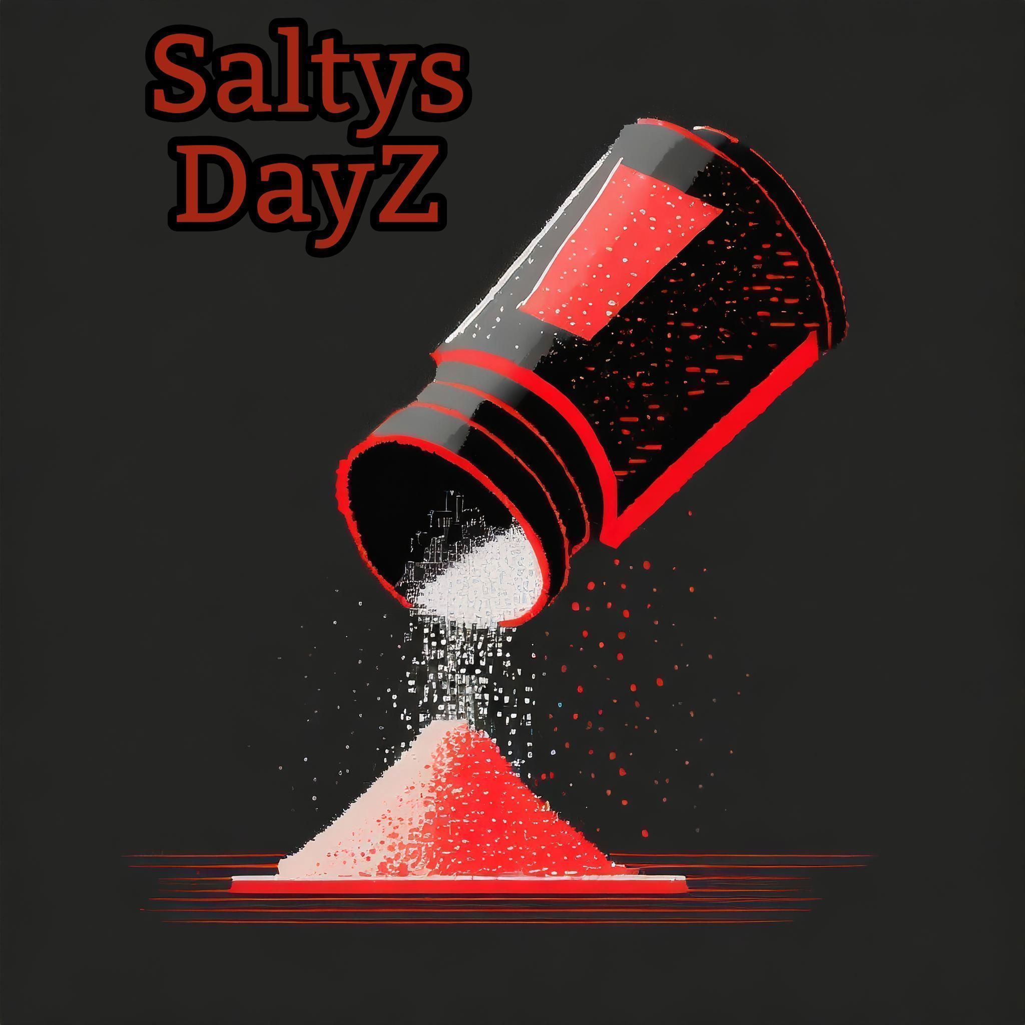 SaltysDayZ_SP