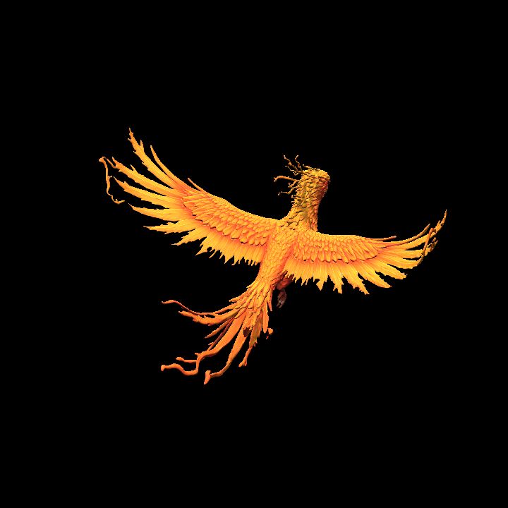 Phoenix
