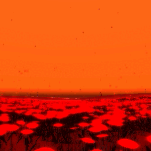 Beauty requires sacrifice preview