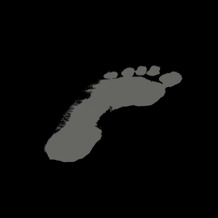 Colourable footprints L