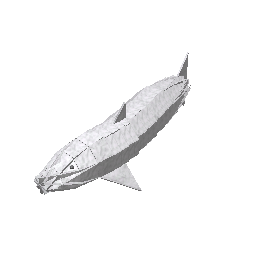Totally Practical™ Great White