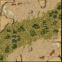 The Forest