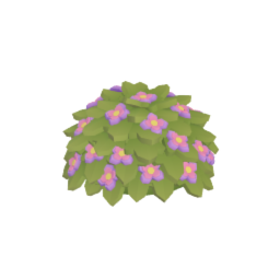 Flower Plant / Bush