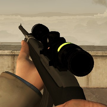 NMRiH: Ruger 10/22 w/ Extended Mag on L4D1 Animations
