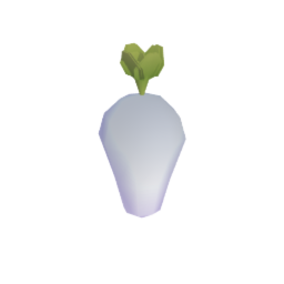 Daikon Radish