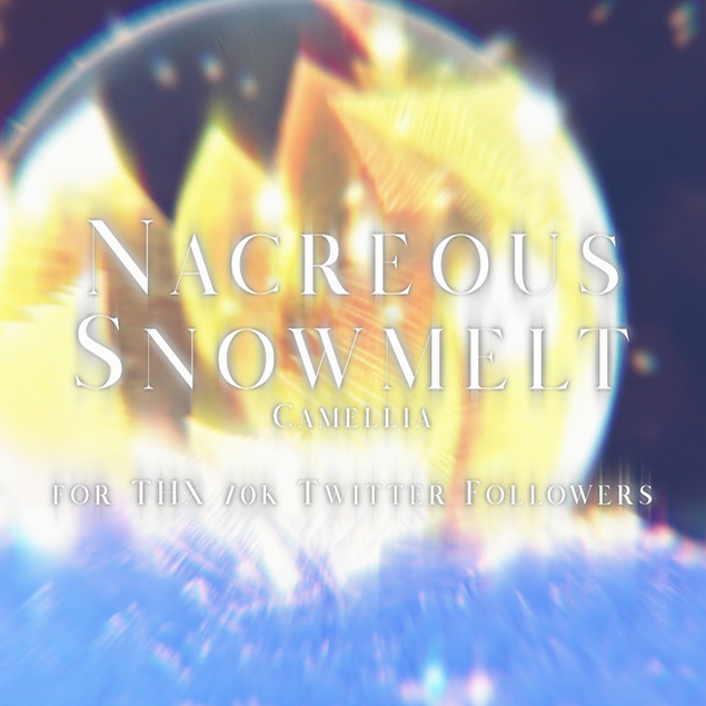 Nacreous Snowmelt - Camellia