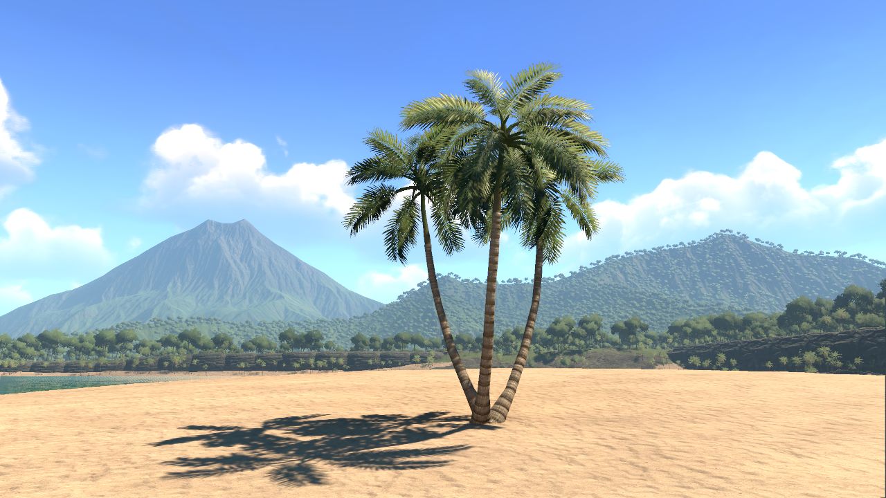 Foxtail Palm Triple