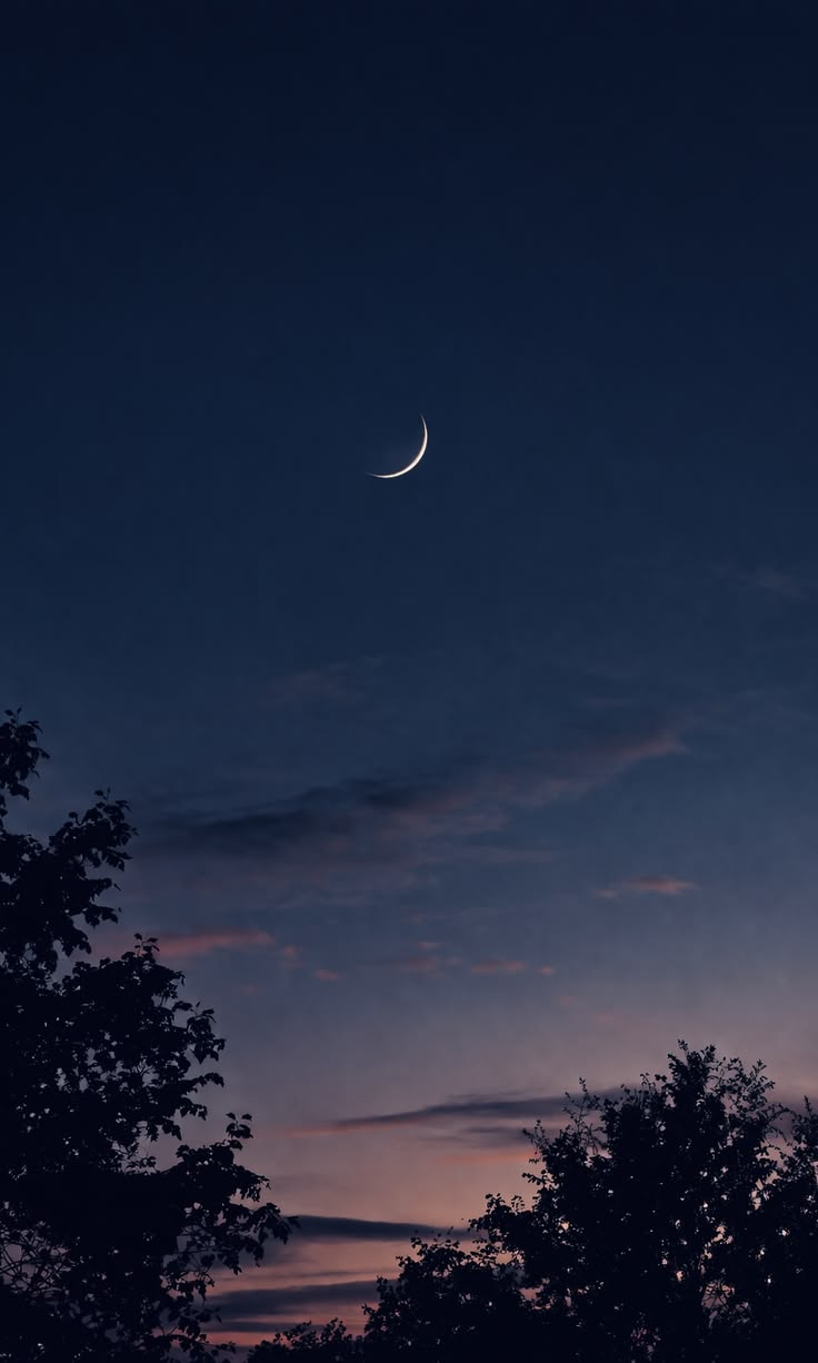 Stargazer