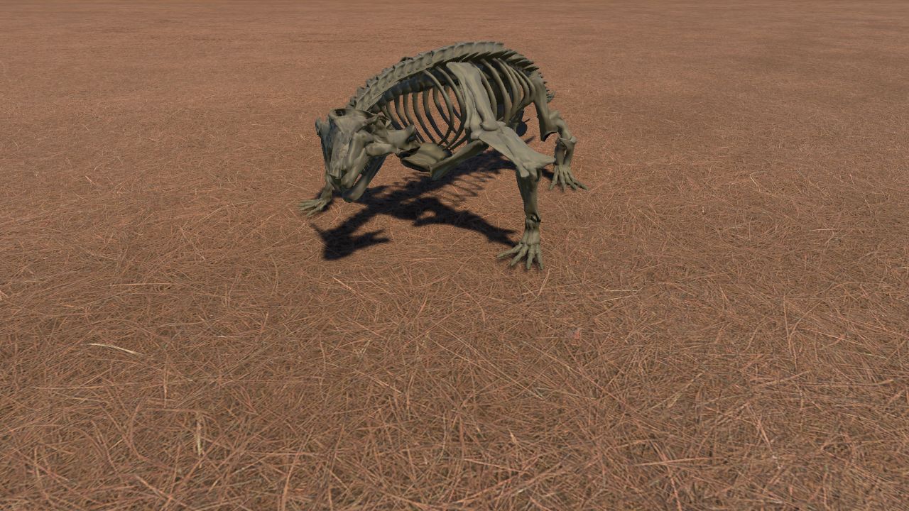 Scutosaurus Skeleton