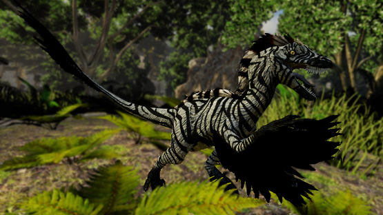 Feathered Zebra Novaraptor (Free drop)