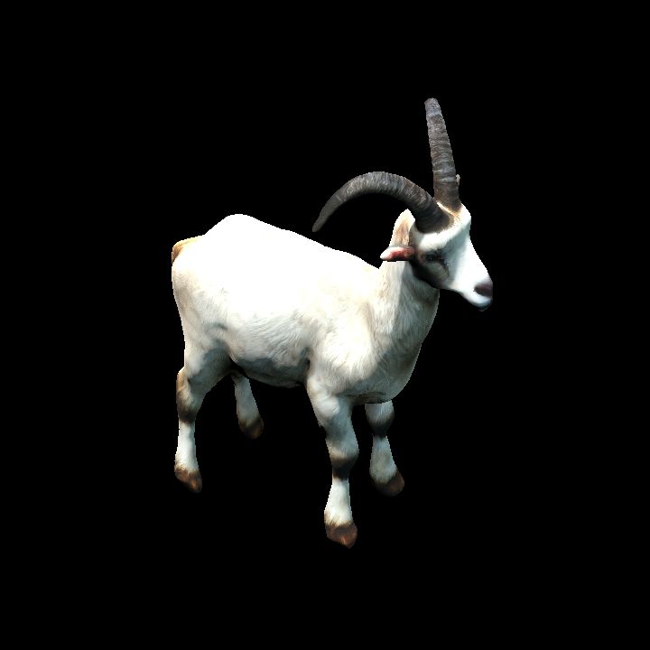Goat #1