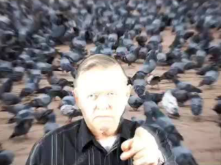 7 thousand pigeons for Soul of Eve