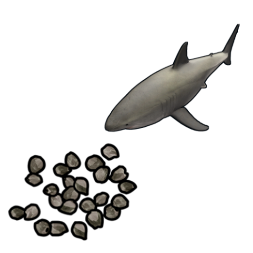 Small Shark Seed