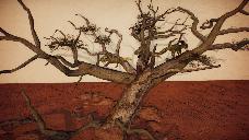 Protoceratops Tree (All Yesterdays)