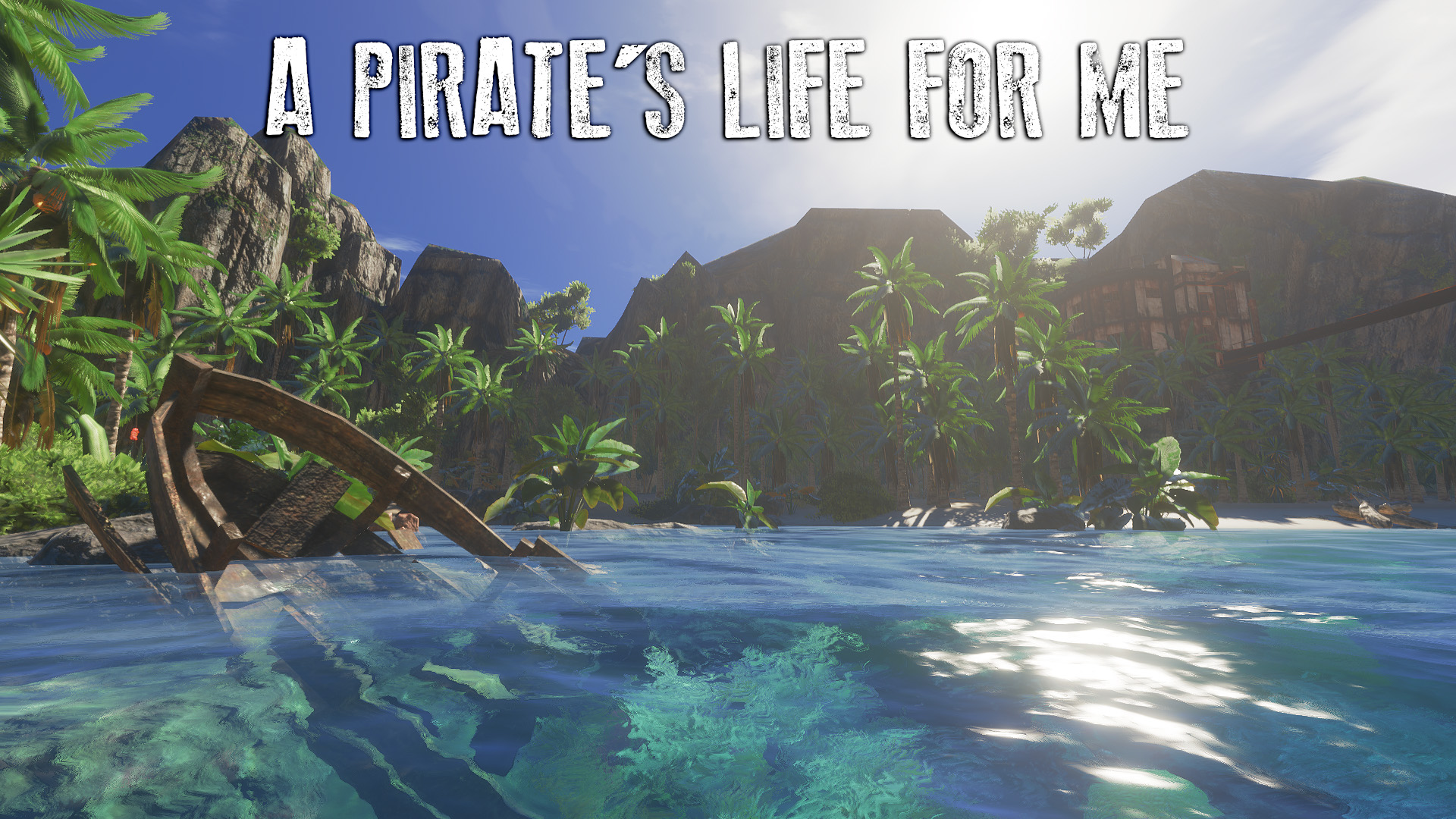 A pirate's life for me