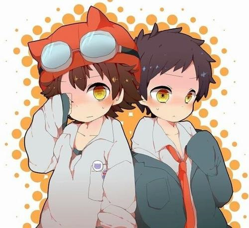 花花世界