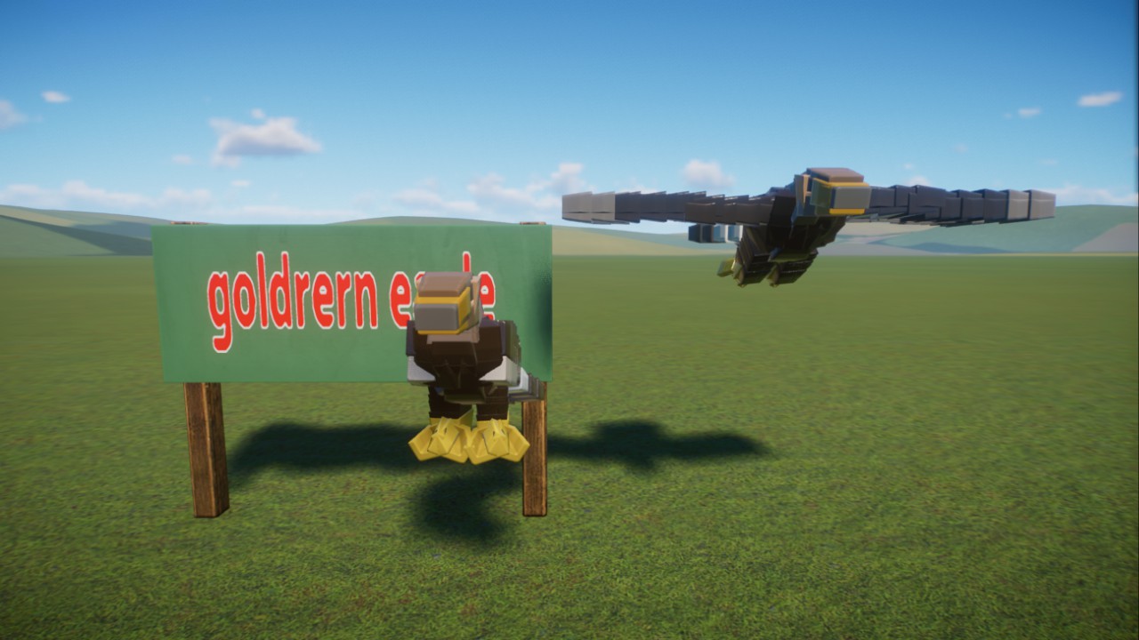 Dark's:Goldern eagle