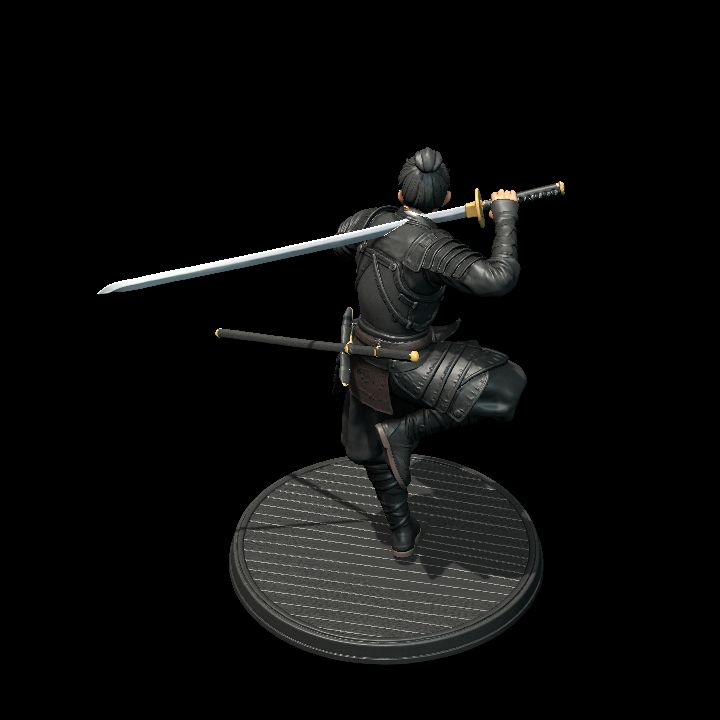 Ninja