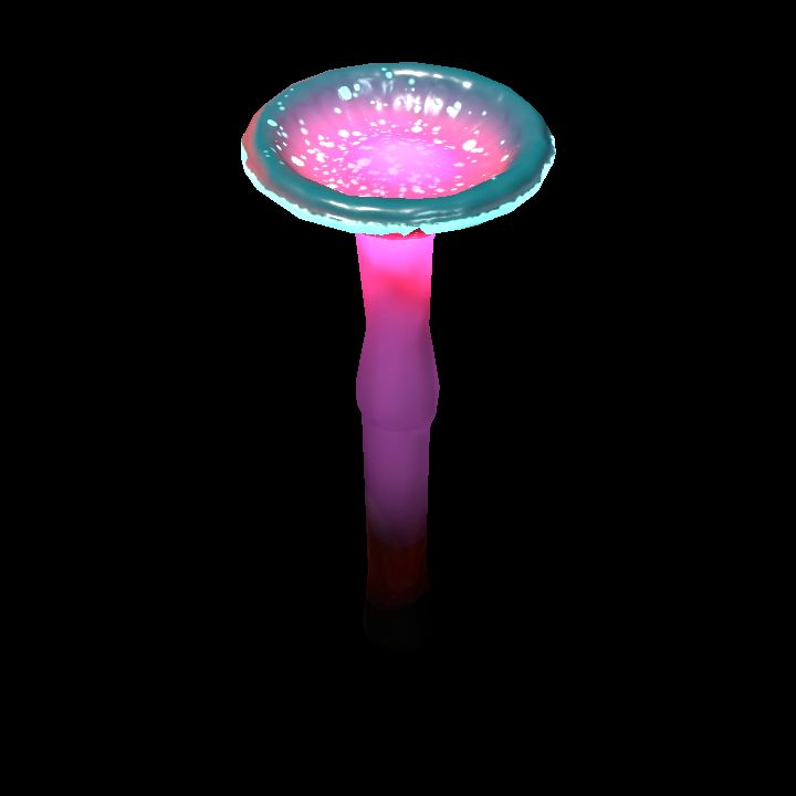 Mushroom_Small_3_1