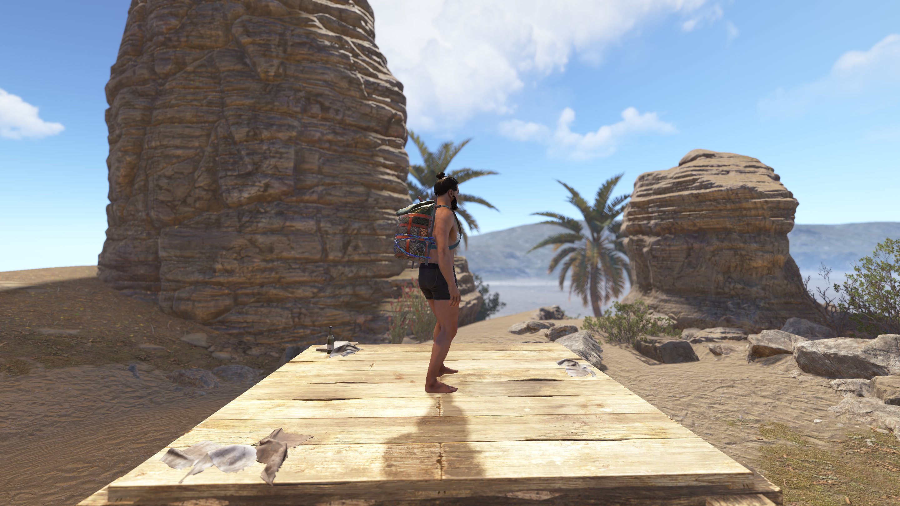 Cargo Heli Small Backpack thumbnail 5