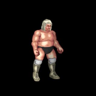Buddy Rose