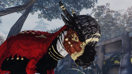 Nutcracker Pachy [Winter 2021]