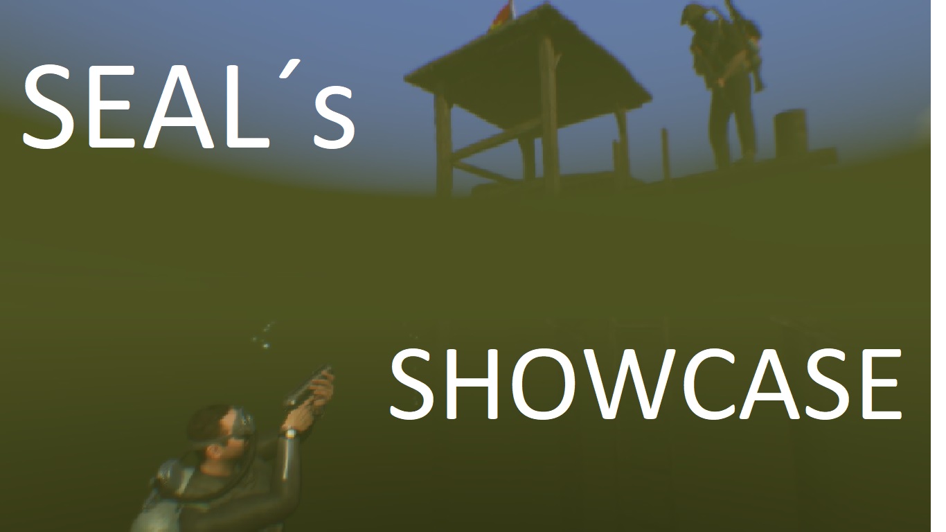 SEAL´s showcase - Underwater strike