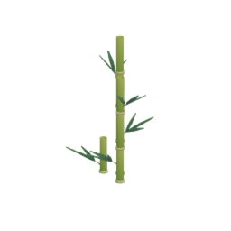 Tall bamboo 2